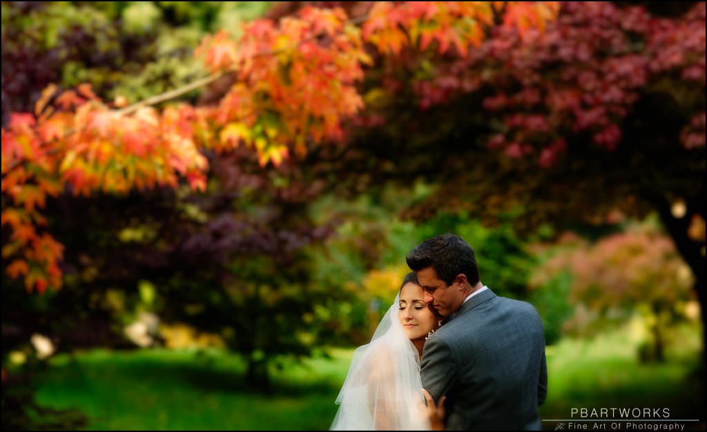 Combermere Abbey Wedding