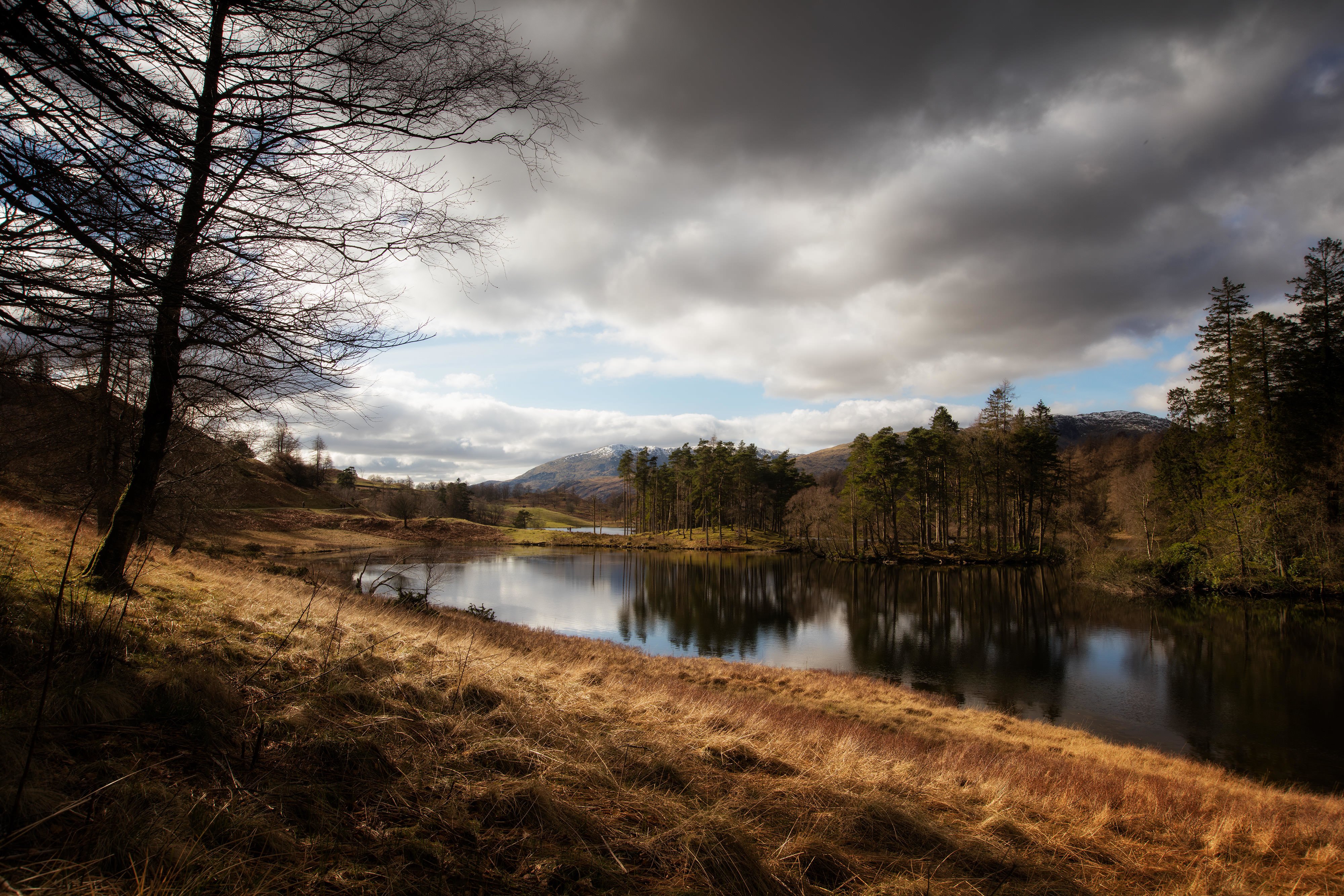 A picturesque landscape with a serene lake nestled amidst lush grass and towering trees, all under a moody cloudy sky.