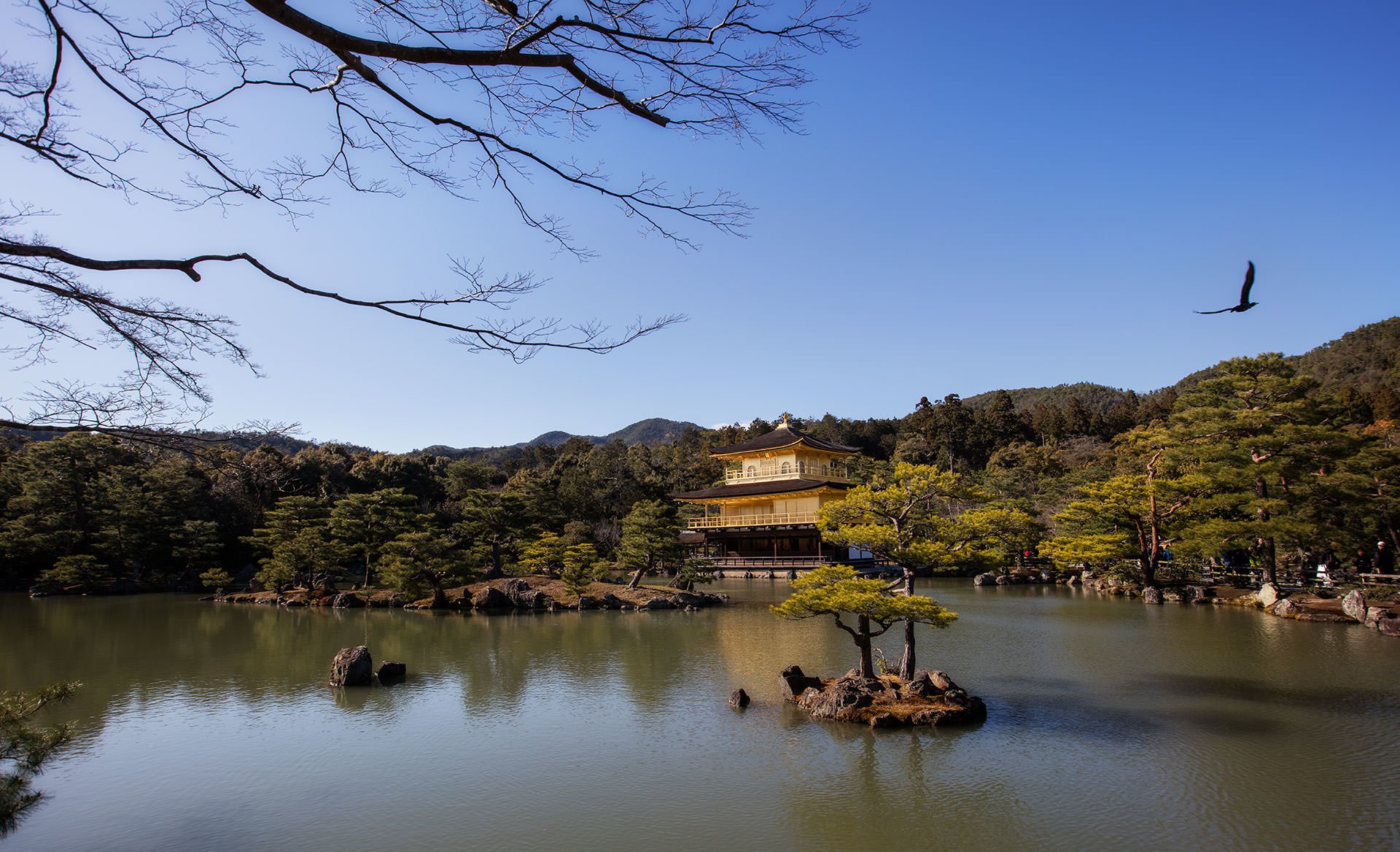 The enchanting golden pavilion in Kyoto, Japan captivates visitors with its sublime beauty and timeless grace. Immerse yourself in the rich cultural heritage of Japan as you explore this magnificent