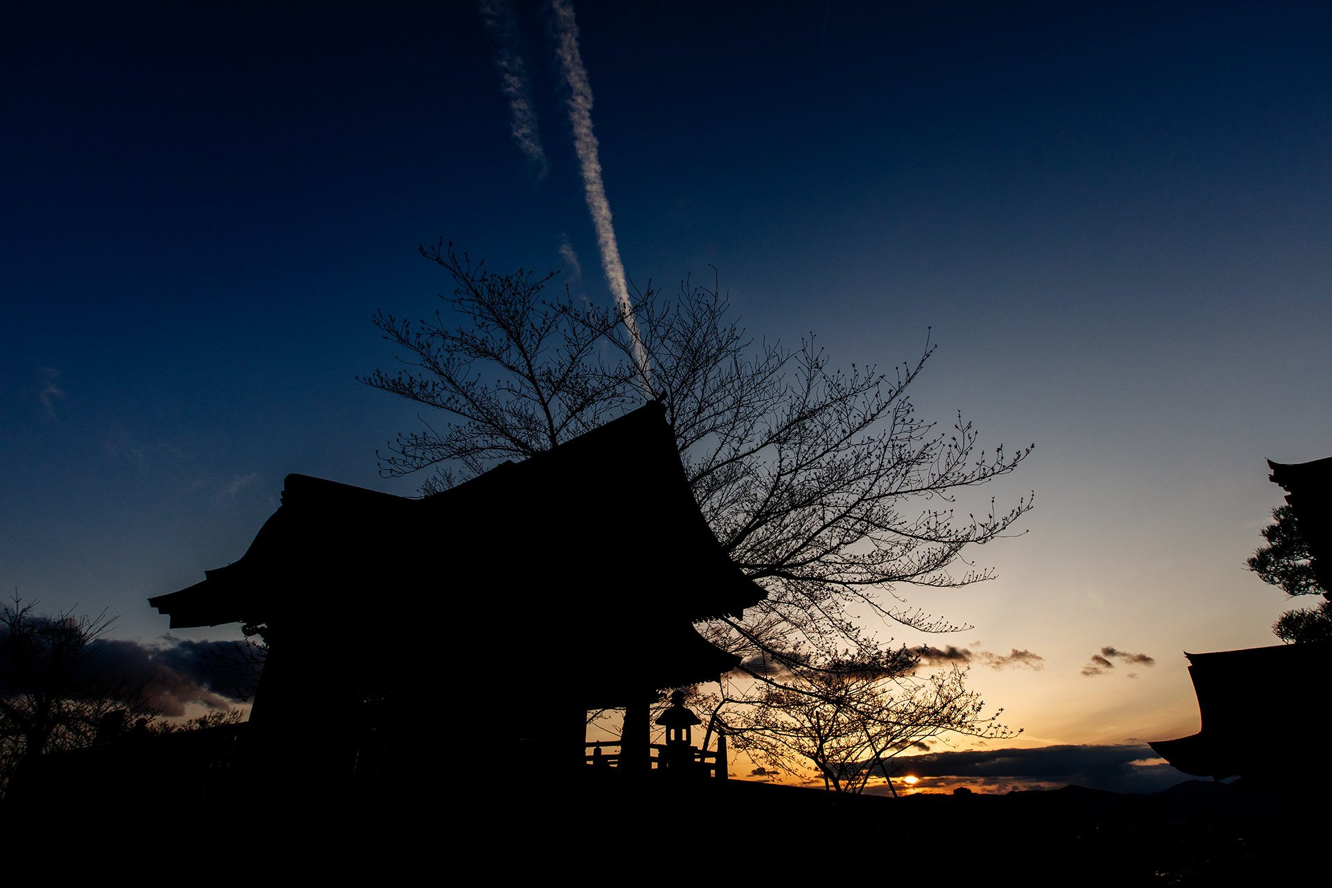 A tree silhouetted against the sky at sunset in Japan.