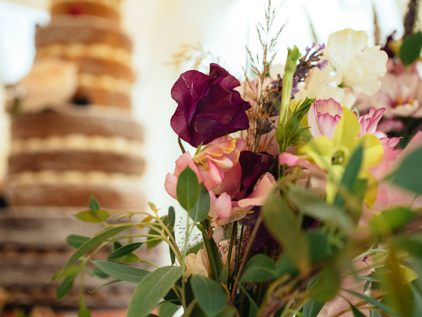 North Wales wedding