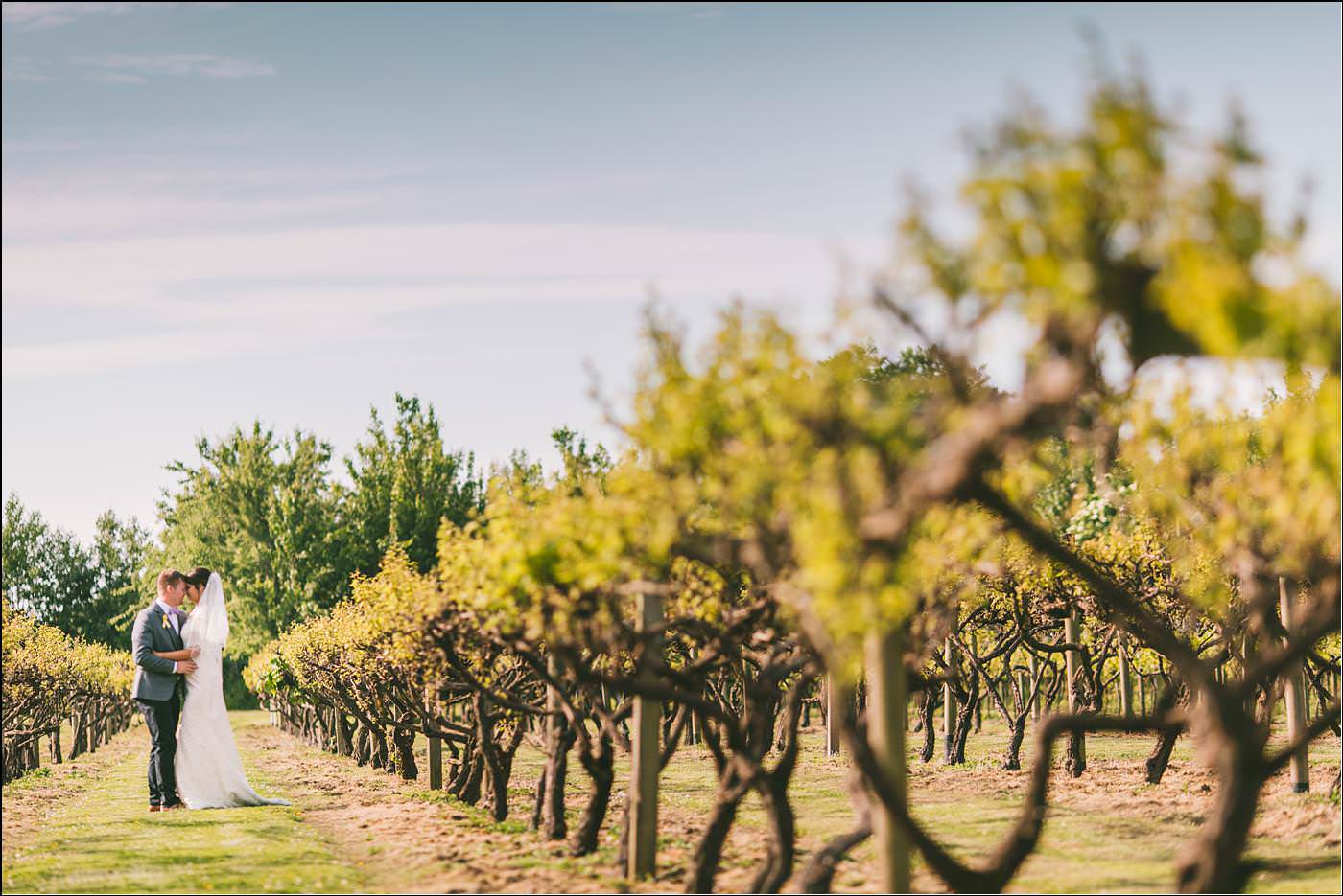 bride and groom in a vine yard with Shropshire destination photographer
