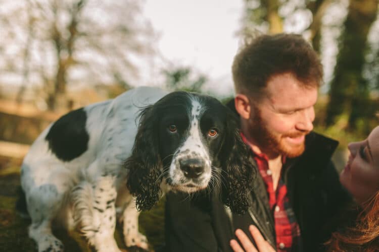 A couple with a dog in the woods, capturing pre-wedding photography moments.