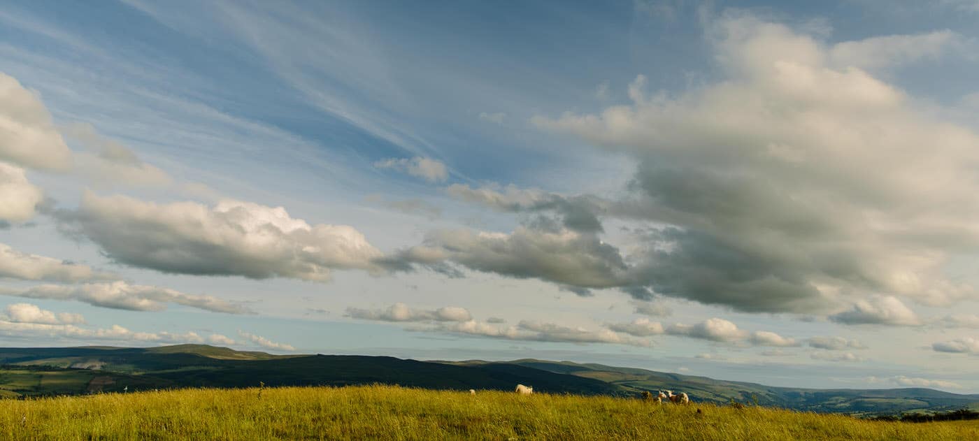 North Wales Wedding