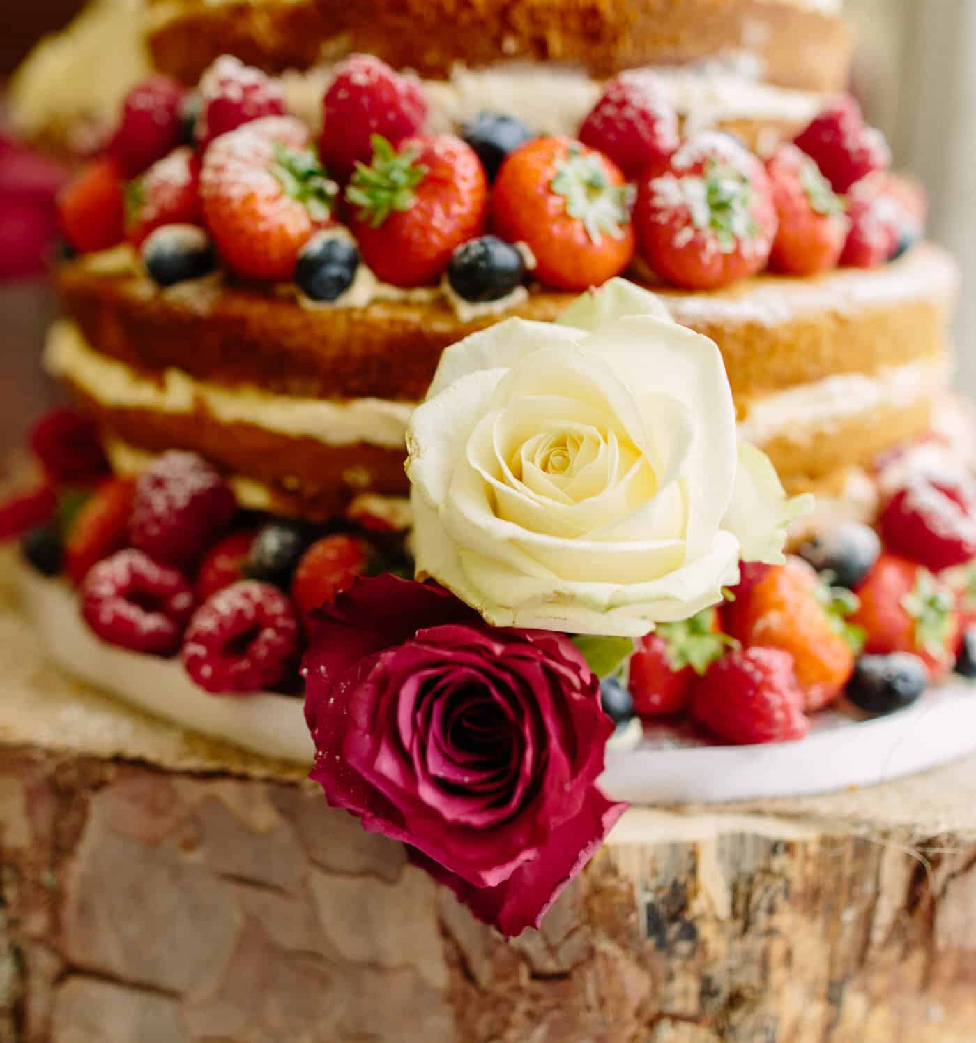 North Wales Wedding