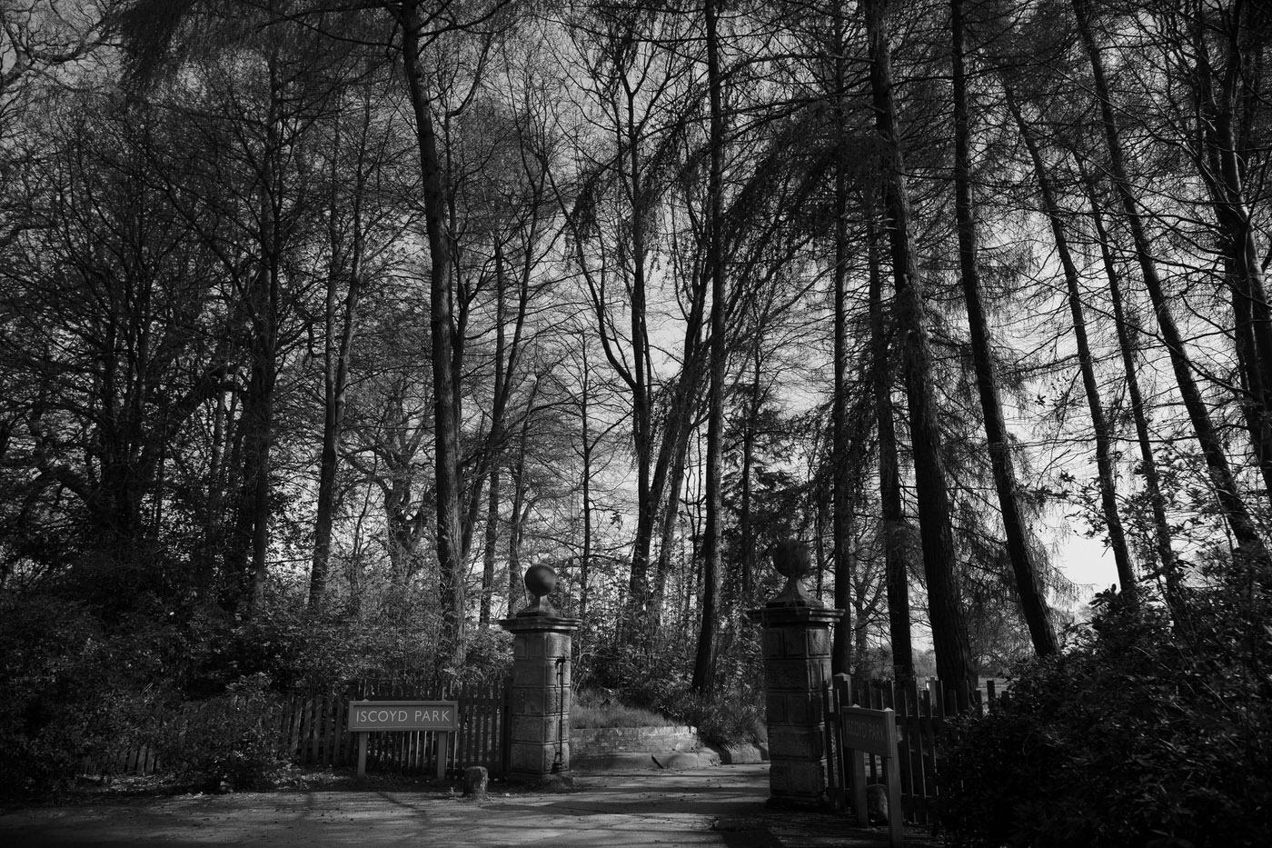 SHROPSHIRE-WEDDING-PHOTOGRAPHER-ISCOYD-PARK